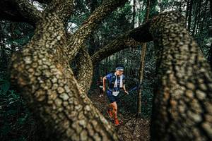 BIB: 
                            <button type="button" onclick="openModal(25393517)" class="btn btn-primary btn-sm float-right btn-popup" data-toggle="modal" data-target=".modal-high-quality">
                        <i class="fas fa-shopping-cart"></i> Add to Cart
                    </button>
                                            <button type="button" onclick="isThisMe(25393517, true)" class="btn btn-success btn-sm float-right btn-popup btn-isme hidden" data-toggle="tooltip" data-placement="bottom" title="นี่คือรูปของคุณใช่ไหม คลิกที่นี่เพื่อเอาเข้าอัลบั้ม">
                        <i class="fas fa-plus"></i> Add to album
                    </button>
                    <button type="button" onclick="isThisMe(25393517, false)" class="btn btn-warning btn-sm float-right btn-popup btn-isnotme hidden">
                        <i class="fas fa-ban"></i> Remove from album
                    </button>